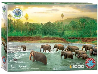 Immagine prodotto di Eurographics Puzzle Tropischer Regenwald, 1000 Teile, 68 x 48 cm, 6000-5540