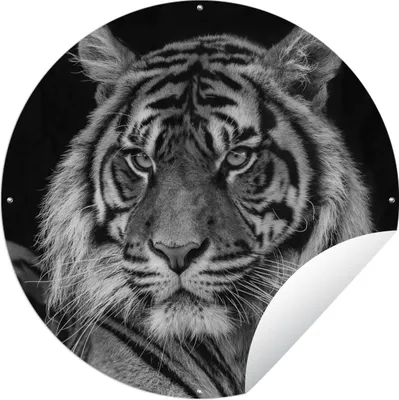 Produktbild von MuchoWow® Gartenposter Outdoor-Poster Rund Tierprofil Sumatra-Tiger in Schwarz und Weiß Ø 120 cm Gartendeko Rundes Poster draußen
