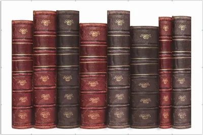 Produktbild von Wallario Wandbild Alte Bücher mit rotem und braunem Ledereinband, Größe: 61 x 91,5 cm, Poster mit rahmenlosen Bildhalter