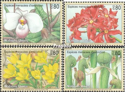 Produktbild von Briefmarken UNO - Genf 1996 Mi 288-291 (kompl.Ausg.) gestempelt Gefährdete Pflanzen