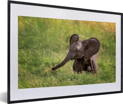 Produktbild von MuchoWow® MuchoWow® Gerahmtes Poster Elefant - Baby - Kalb 60x40 cm - Poster mit zchwarzem Bilderrahmen - Schlafzimmer - Plakat in Rahmen - Drucken