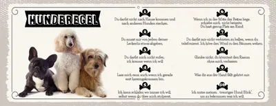 Produktbild von vianmo Holzschild 10x27 cm Hund Hunderegel darfst nicht nach anderen Hunden riechen