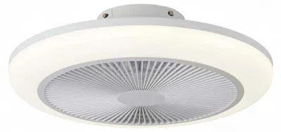 Immagine prodotto di Ventilatore e plafoniera a soffitto con luce SMD diametro 45 cm e regolazione intensità luce