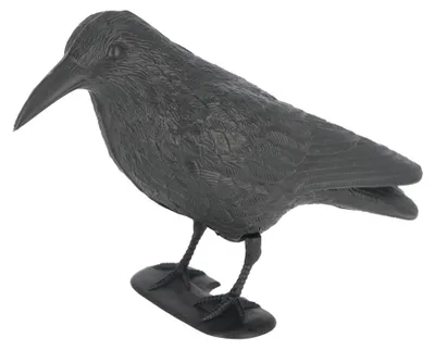 Immagine prodotto di Spaventapasseri a forma di corvo per il giardino, colore nero