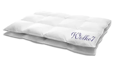 Produktbild von HANSKRUCHEN Wolke 7 Daunenbettdecke 155x220 cm Warm 90% Daunen waschbar Allergiker Winterdecke atmungsaktiv Bettdecke weiss