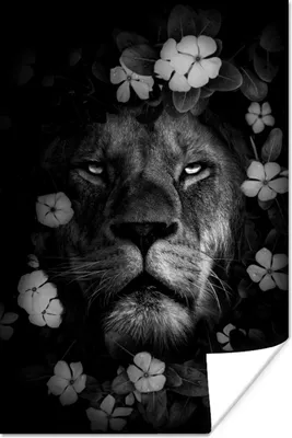 Produktbild von MuchoWow® Poster Löwe mit Blumen im Dschungel - schwarz und weiß 20x30 cm - Papierdruck