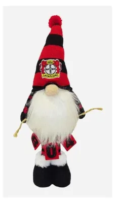 Produktbild von Bayer 04 Leverkusen Wichtel 30cm