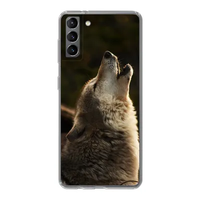 Produktbild von MuchoWow® Handyhülle Schutzhülle Hülle für Samsung Galaxy S21 Plus Wolf - Grau - Tiere Silikon Softcase Handy Hülle - Handy-Tasche