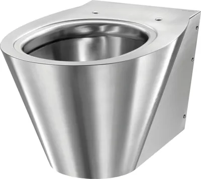 Immagine prodotto di Delabie WC BCN S wandh. Anschl. von hinten Edst. 1.4301 satiniert