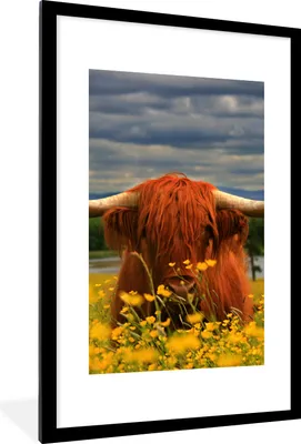 Produktbild von MuchoWow® Gerahmtes Poster Schottischer Highlander - Tiere - Blumen 60x90 cm - Poster mit Schwarzem Bilderrahmen Wandposter Rahmen Foto Bilder - Dekoration - Wandposter Wohnzimmer - Hochwertig