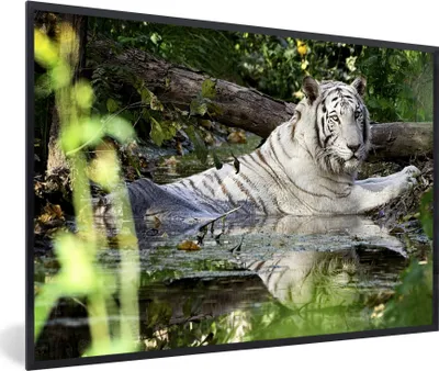 Produktbild von MuchoWow® MuchoWow® Gerahmtes Poster Weißer Tiger im Wasser 60x40 cm - Poster mit zchwarzem Bilderrahmen - Printing - Wanddeko Schlafzimmer