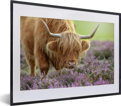 Produktbild von MuchoWow® MuchoWow® Gerahmtes Poster Schottische Hochlandrind - Blumen - Natur 40x30 cm - Poster mit zchwarzem Bilderrahmen - Bilderrahmen - Poster im Rahmen
