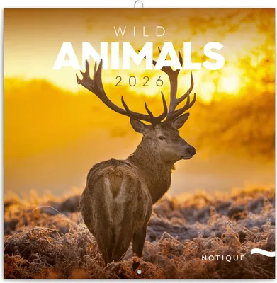 Produktbild von Notique Broschürenkalender Wilde Tiere 2026, 30 x 30 cm