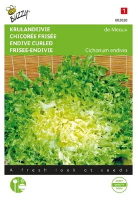 Produktbild von Sommer-Endivien de Meaux Krause | Endiviensalatsamen von Buzzy Seeds