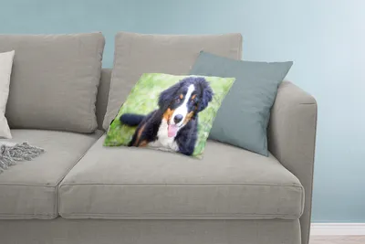 Produktbild von MuchoWow® Zierkissen Sofakissen Wohnzimmer Dekokissen 60x40 cm Berner Sennenhund auf der grünen Wiese - Kopfkissen - Polster mit Foto