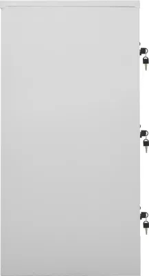 A side view of a light gray metal locker with three black locks and keys visible on the right side.