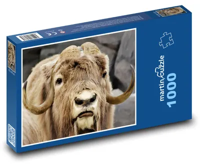 Obrázek produktu pro Puzzle 1000 Pižmoň v divočině - martinpuzzle