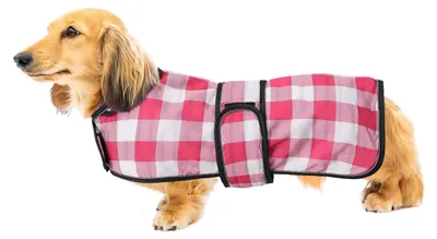 Image de Solidchoice - Manteau de pluie léger et imperméable pour teckel, avec bandes réfléchissantes - Motifs à carreaux roses - Taille M