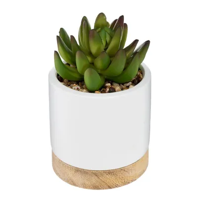 Produktbild von Künstliche sukkulente keramiktopf h12cm - Atmosphera créateur d'intérieur