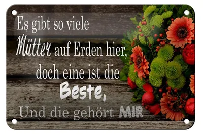 Produktbild von Blechschild Spruch 18x12cm es gibt viele Mütter doch eine