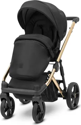 Image de Kunert Poussette Arizo Premium 11 Black Eco Cadre doré siege auto