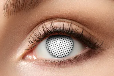 Produktbild von Screen, bis zu 12 Monate verwendbar,, für helle und dunkle Augen