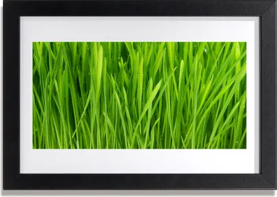Produktbild von Bild 30x20 MDF-Rahmen Wandkunst Gras Natur Pflanze