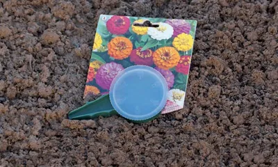Immagine prodotto di Seminatrice "seme" - 6 cm