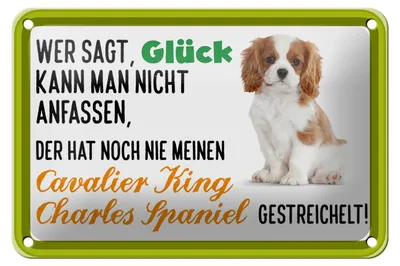 Produktbild von Blechschild Spruch 18x12cm Cavalier King Charles Spaniel