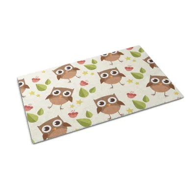 Obrázek produktu pro Rohožka před dveře - Podložka na zachytávání nečistot- Protiskluzová vnitřní venkovní rohožka - 60x40 cm - Sovy Ptáci