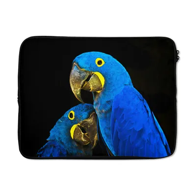 Produktbild von MuchoWow® Laptop Hülle 17 Zoll Laptoptasche Papagei - Vogel - Federn - Blau - Zipper - Schutzabdeckung