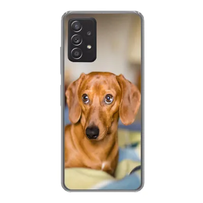 Produktbild von MuchoWow® Handyhülle Schutzhülle Hülle für Samsung galaxy a73 Dackel liegend auf einem Bett Silikon Softcase Handy Hülle - Handyhülle