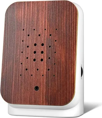 A product shot of a speaker with a teak-style front panel.