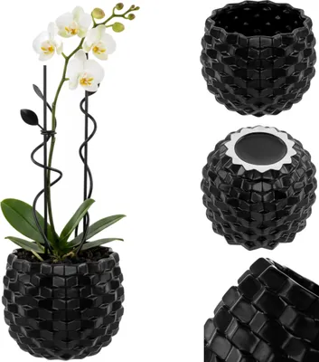 Produktbild von Blumentopf übertopf schwarz Keramik Ø19cm Blumenübertopf für Zimmerpflanzen Pflanztopf glänzend 3D Struktur konvex Glamour Kräuter in der Küche, für Orchideen und Sukkulenten, Weihnachtsgeschenk