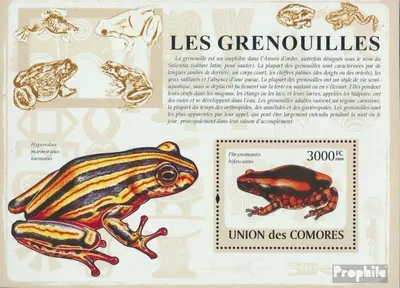 Produktbild von Briefmarken Komoren 2009 Mi Block 481 (kompl. Ausg.) postfrisch Frösche