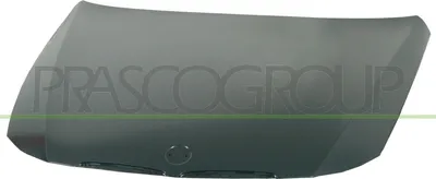 Produktbild von PRASCO BM0243100 Motorhaube für BMW 3 Touring (E91) 3 Limousine (E90)