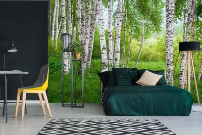 Produktbild von Vlies Fototapete BIRKENHAIN 375 x 250 cm (inkl. Kleister) - Vlies Tapete, Wandtapete, Wandbilder - Tapete für Wohnzimmer Schlafzimmer, Büro, Küche - Montagefertig