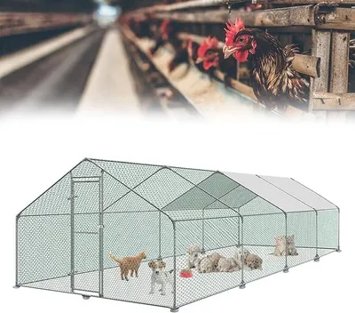 Imagen del producto de Gallinero de 3x8x2 metros. Corral para aves de corral. Jaulas para animales pequeños. Estructura de acero galvanizado. Jaula para gallinas con techo de polietileno. Corral exterior con cerradura. Estructura para aves de corral