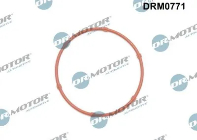 Produktbild von DR.MOTOR AUTOMOTIVE Dichtung Ölpumpe DRM0771 für OPEL Corsa D Schrägheck (S07)