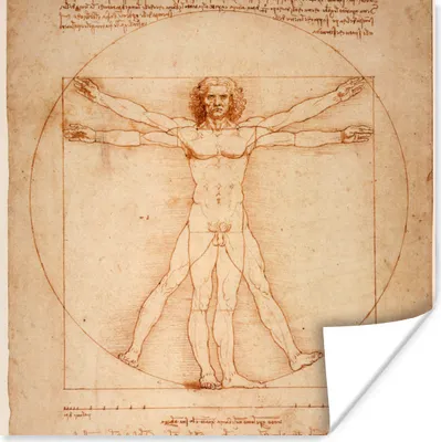 Produktbild von MuchoWow® Poster Der vitruvianische Mensch - Leonardo da Vinci 30x30 cm - Wandposter - Printing