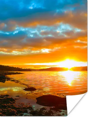 Produktbild von MuchoWow® Poster Sonne - Landschaft - Wasser - Bäume 90x120 cm - Wohnzimmer