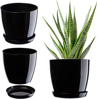 Immagine prodotto di Vaso da fiori in plastica KADAX "Agen", vaso con piattino. Fioriera, 23 cm, nero, 1 pezzo