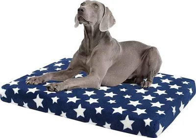 Produktbild von Grosses s Hundebett