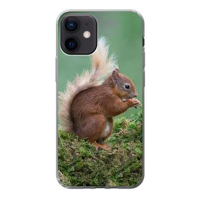 Produktbild von MuchoWow® Handyhülle Schutzhülle Hülle für iPhone 12 Eichhörnchen - Wald - Moos Silikon Softcase Handy Hülle - Schutzhülle