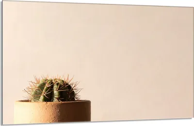 Produktbild von Herdabdeckplatte 80x52cm 1-teilig Glaskeramikkochfeld-Abdeckung Spritzschutz, Kaktus Beige