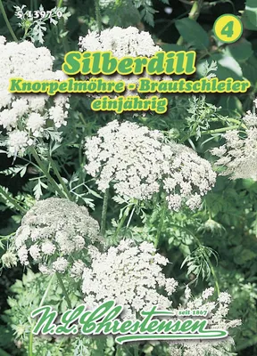 Productafbeelding van Silberdill bruidssluier, knorrelige moerbeien | Dillesoorten van N.L. Chrestensen