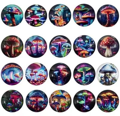 Produktbild von Kühlschrankmagneten Set 20 Stück 3D bunte Glas