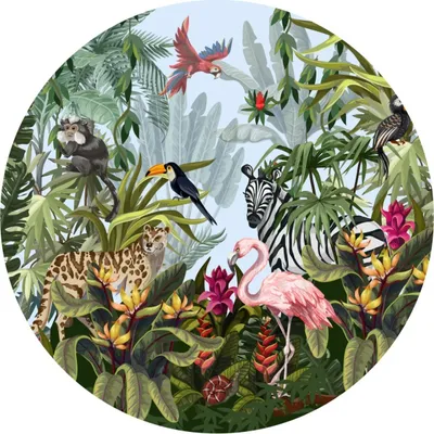 Image de Autocollant rond animaux sauvages oiseaux zèbre singe léopard feuilles tropicales fleurs plantes nature sticker mural 100 cm x 100 cm