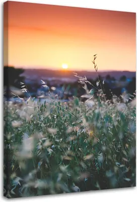 Produktbild von Leinwandbild wiese und sonnenuntergang 60x90 cm Feeby orange wandbild bereit zum aufhängen