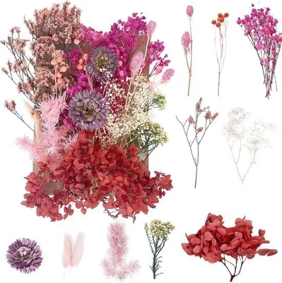 Produktbild von Famanu Gedroogte Blumen Set – Vielseitige Deko für Kunst und Bastelprojekte